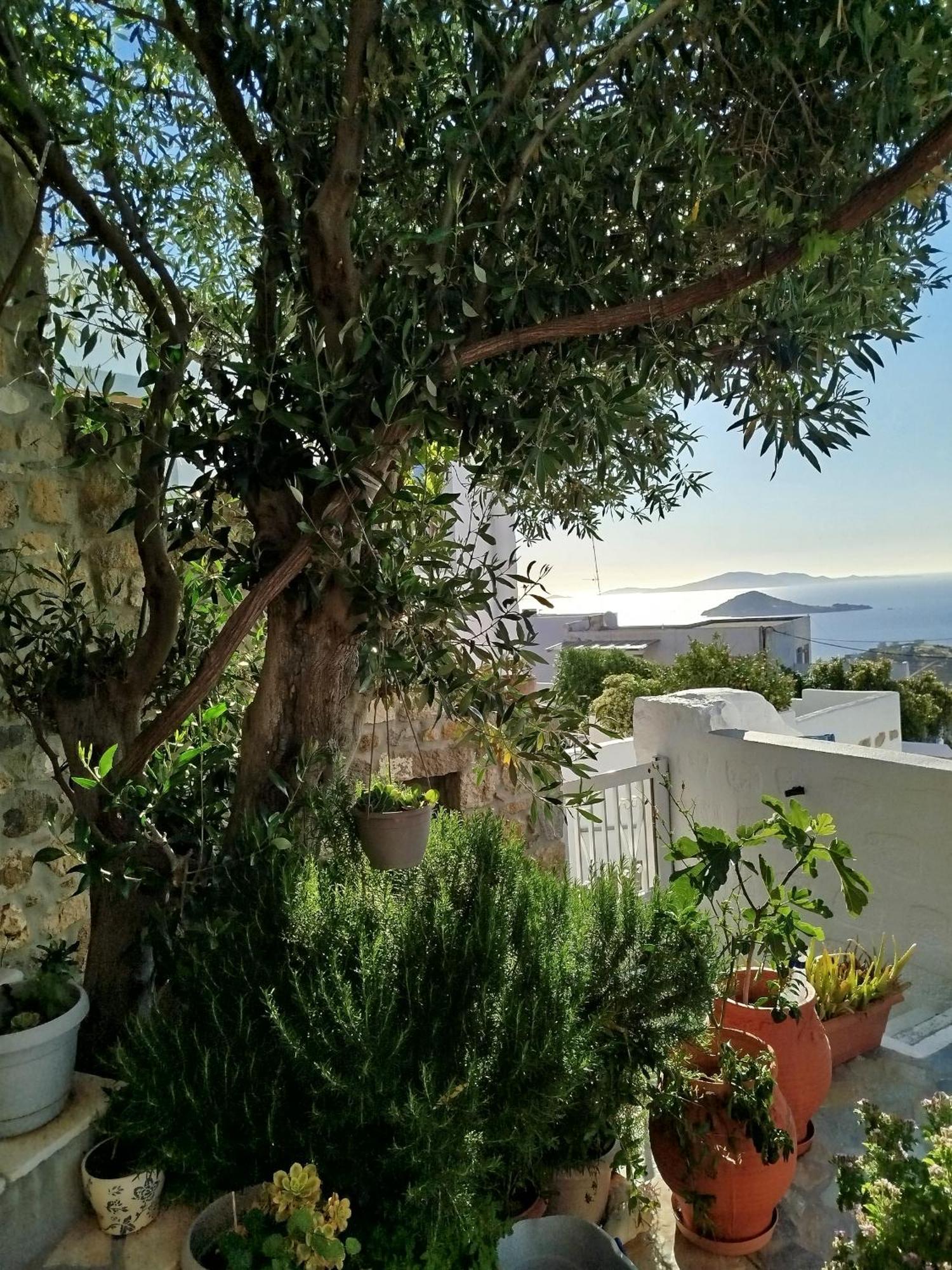 Villa Manos House In Chora à Pátmos Extérieur photo